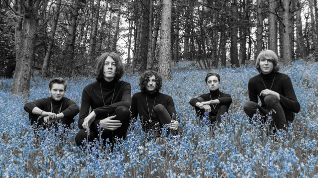 Blossoms