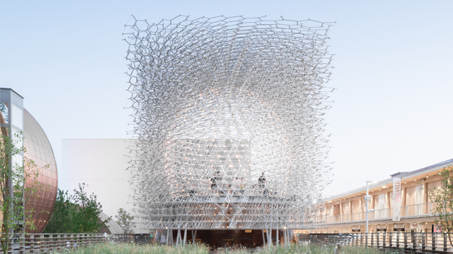 The Hive