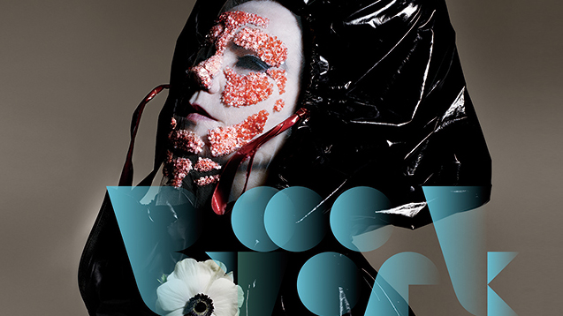 Bjork Digital