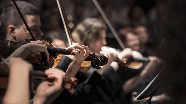 orchestra-2019