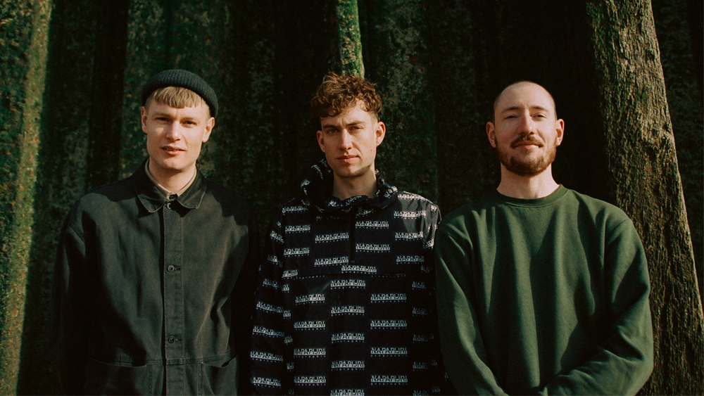 Crushed-Beaks