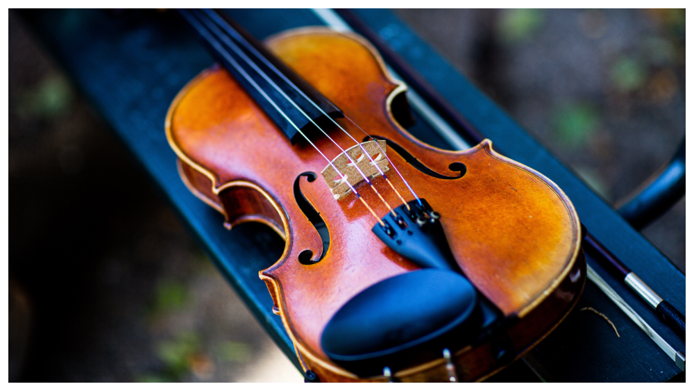 Violin on bench